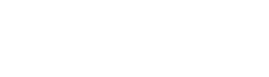 VetVantage MD Logo